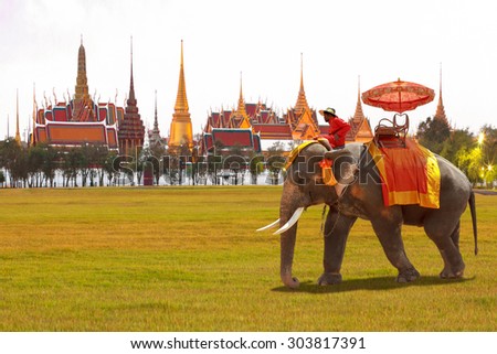 Elephant for tourists on an ride tour of the grand architecture, a venue now mostly used for ceremonial events. The Buddhist temple of Wat Phra Kaeo at the Grand Palace in Bangkok, Thailand.