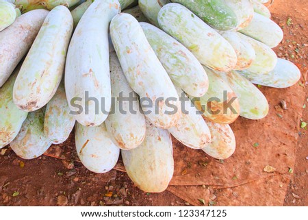 A winter melon fruits stacked for sale.