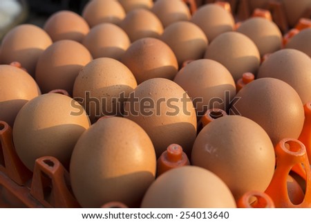 Eggs in plastic tray