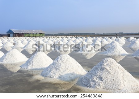 Mass of salt in the salt sea salt farm