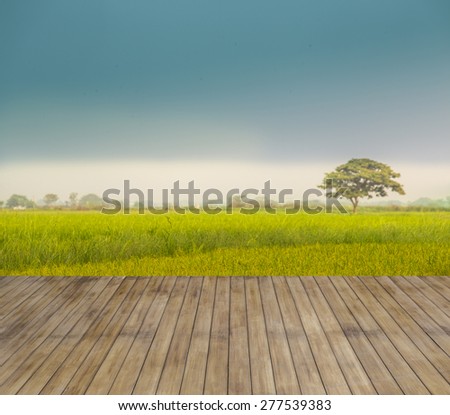 wood terrace in farm field with blue sky