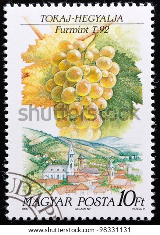 HUNGARY - CIRCA 1990: A stamp printed in Hungary,shows typical product of Hungarian agriculture, the grape, circa 1990.