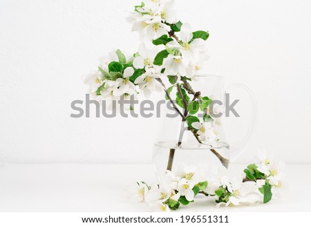Freshly picked apple flowers in a jug, background white painted wall