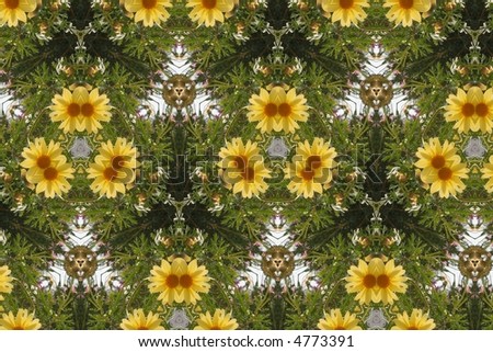 abstract daisies