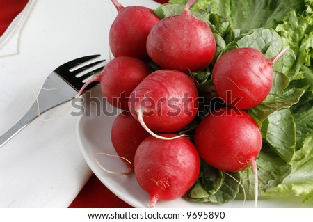 Radishes served on a bed of lettuce