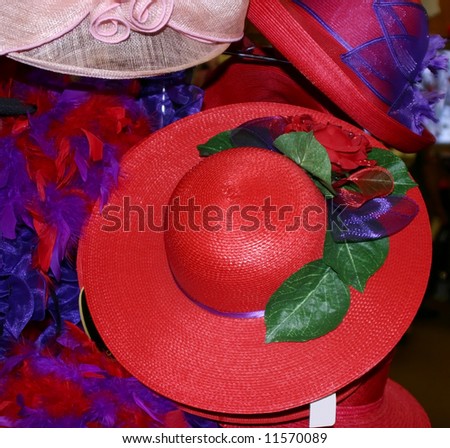 Red and purple hat.