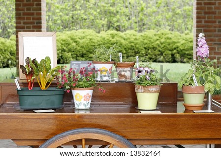 Floral cart with display of flower pots
