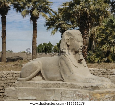 Sphinx statue at the avenue of sphinxes in the Temple of Luxor Egypt