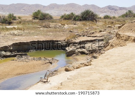 Small desert stream running through an oasis in arid desert landscape