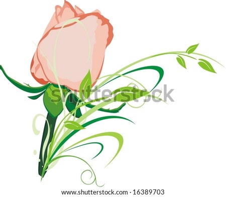 stock vector : Pink rose. Vector
