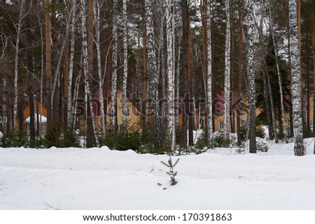 Winter forest with snow, houses