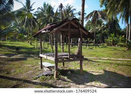 hut  in the jungle with palm trees