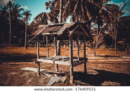 hut  in the jungle with palm trees