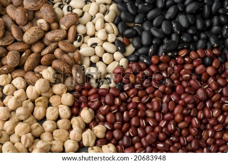 Black beans, pinto beans, black-eyed beans, aduki beans and chick peas.