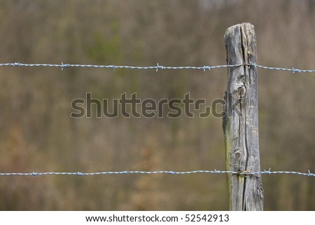 Fence thorn wire on wood stud 01