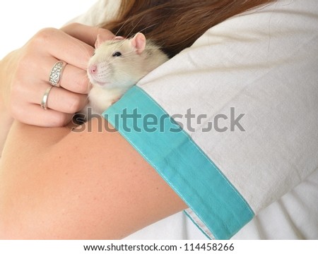 laboratory animal research rat