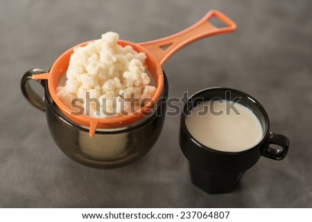 Tibetan milk mushroom