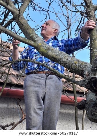 man cuting tree