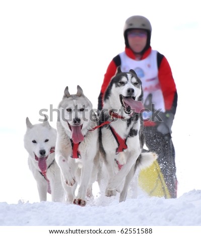 musher coloring page