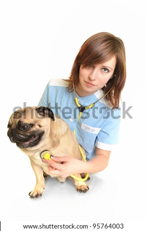 veterinarian doctor with dog