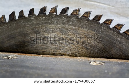 Old circular saw blade.