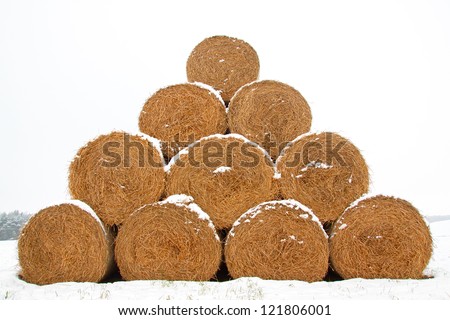 Straw Fodder Bales in Winter: straw that were left after the fall harvest are used as animal feed and bedding during the winter months