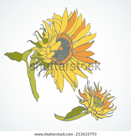 Vector illustration with flower sunflower.  Illustration can be used for for greeting cards, invitations, and other printing projects.