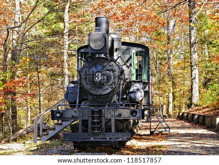 The restored engine of a steam locomotive on display at The Cradle of Forestry.  It was used for logging for over 40 years.