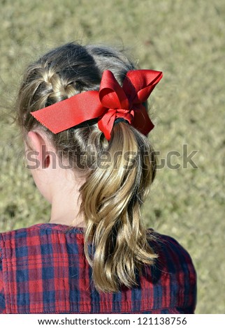 A young girl\'s hair pulled back into a stylish ponytail.