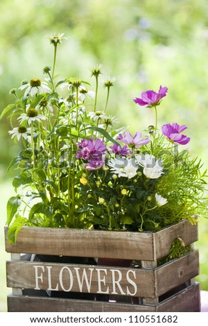 Flowers in wooden box
