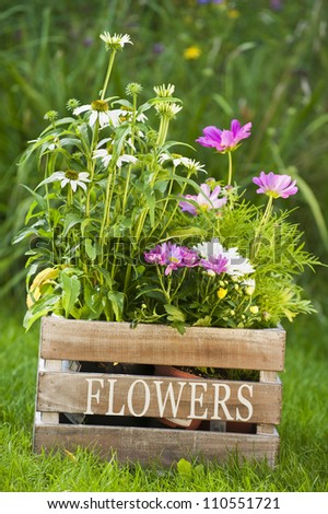Flowers in wooden box