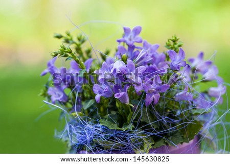 Little bell flower in purple flower pot