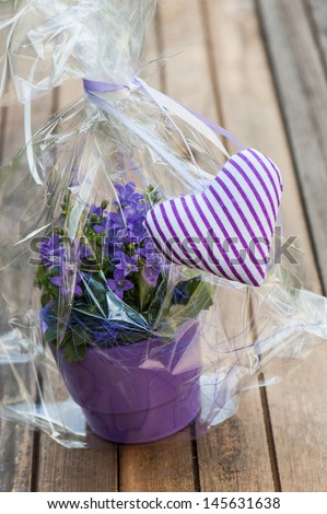 Little bell flower in purple flower pot