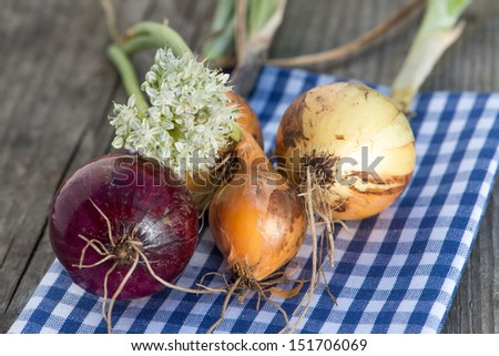 Red and white onions on a wooden background