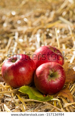 Three apples decorated on straw