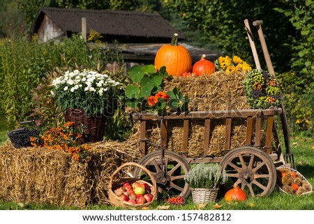 Old carriage cart decorated with autumn fruits and flowers