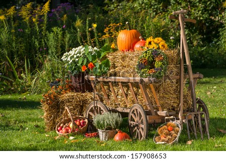 Old carriage cart decorated with autumn fruits and flowers