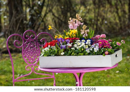 Spring flowers in wooden box