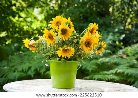 Sunflowers in a bucket on nature background