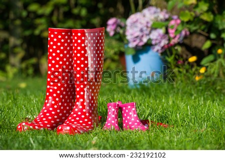 Rubber boots in a meadow