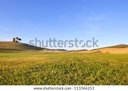 Tuscany, Maremma typical countryside landscape with rolling hills, trees and rural tower.