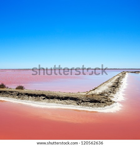 Camargue park, Giraud pink salt flats landscape. Rhone delta, Provence, France.