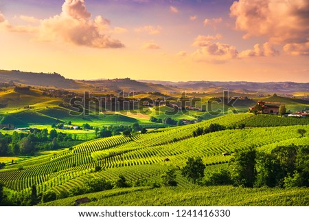 Langhe vineyards sunset panorama, near Barolo, Unesco Site, Piedmont, Northern Italy Europe.