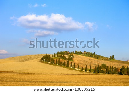 Tuscany, Crete Senesi country landscape, Italy, Europe. Cypress trees road, rolling hills, green fields, blue sky partially cloudy and a farm.