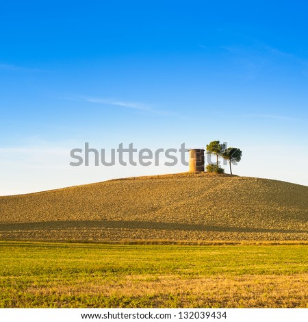 Tuscany, Maremma typical countryside sunset landscape with hill, tree and rural tower.