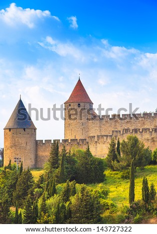 Carcassonne Cite, medieval fortified city on sunset. Languedoc Roussillon, France, Europe.