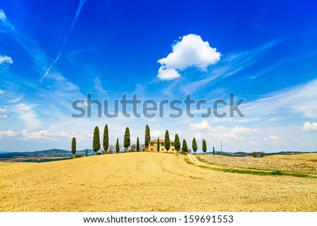 Tuscany, farmland and cypress trees and white road, country landscape. Siena, Val d Orcia, Italy, Europe.