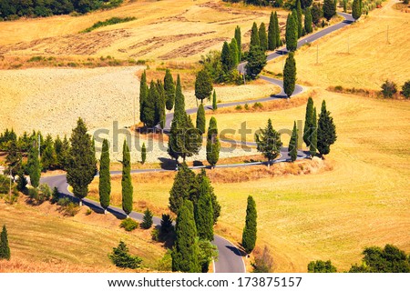 Cypress Tree Scenic Road In Monticchiello Near Siena, Tuscany, Italy, Europe.