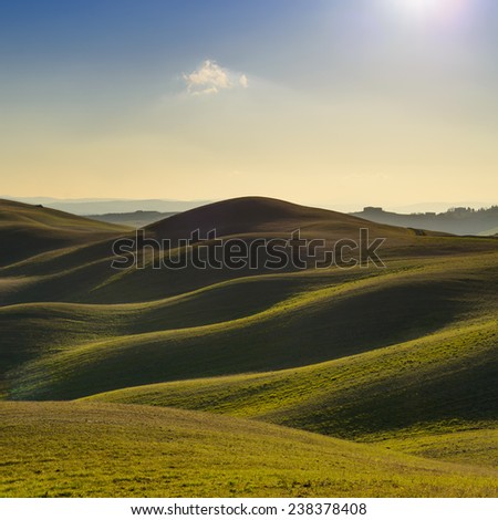 Tuscany, rural landscape in Crete Senesi land. Rolling hills, countryside farm, green field on warm sunset. Siena, Italy, Europe.