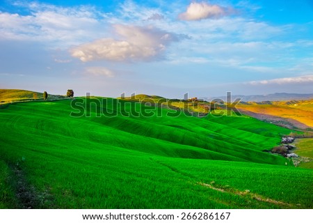 Tuscany, rolling hills on sunset. Volterra rural landscape. Green fields, farmland and trees. Italy
